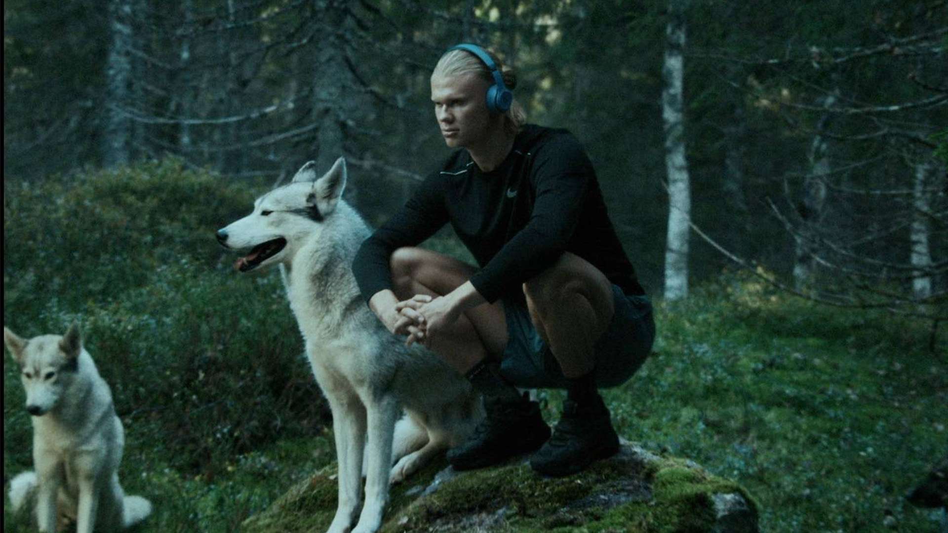 世界中的 世界中的